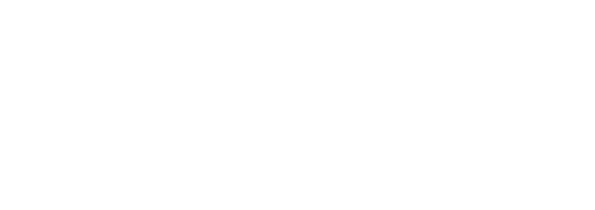 Blitzscaling Ventures
